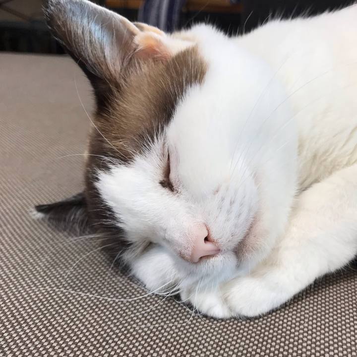 8586e9e4 abd8 493f 9156 d356ba275f5c 1539952322281