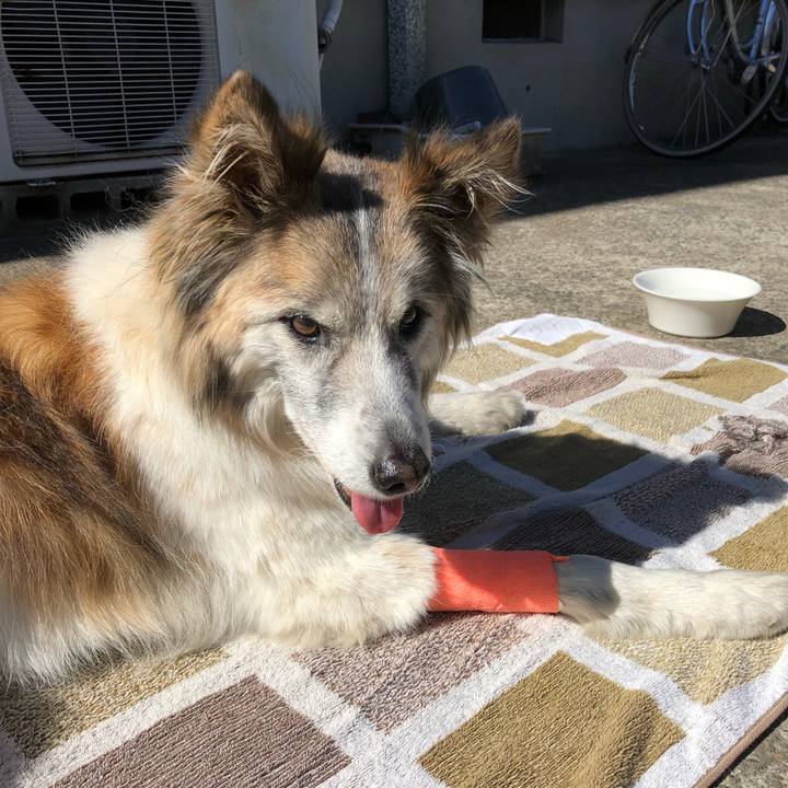 85870b8c 093f 4ff4 a17a b6d867af33d6 1518924508500