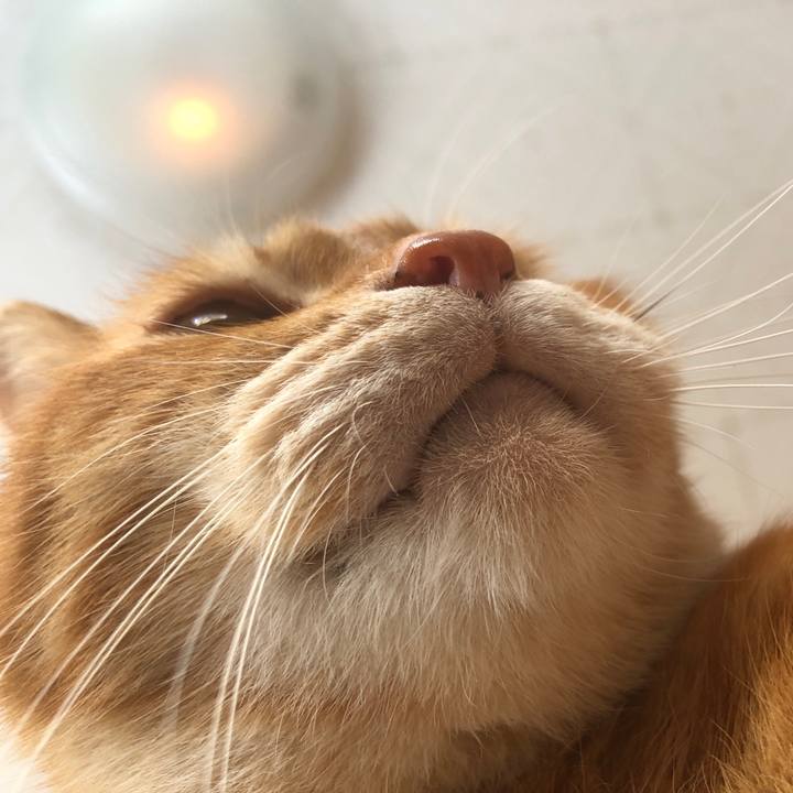 8587346f 6da5 46d5 a4a2 e36b58cdd9ff 1703823902410