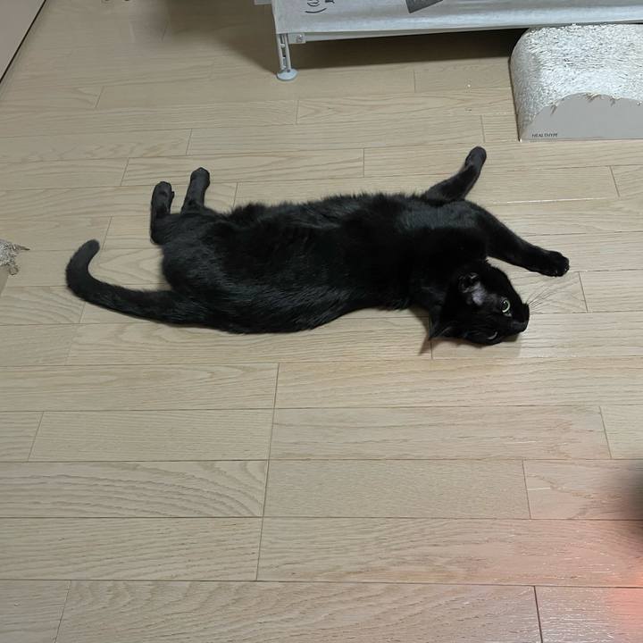 85877c07 dca5 48d0 9173 1292b87affed 1773057388664