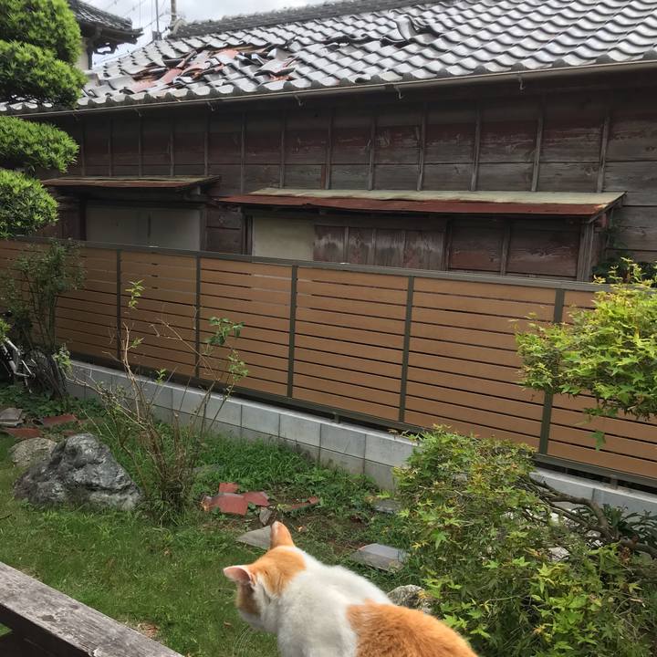 85879558 2418 40cb 8a72 64dacc0538a4 1568440448621