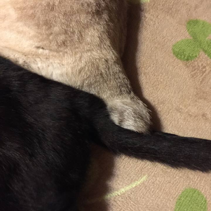 8587c42f 2897 4628 91a5 0e6ae7dab01b 1516366089877