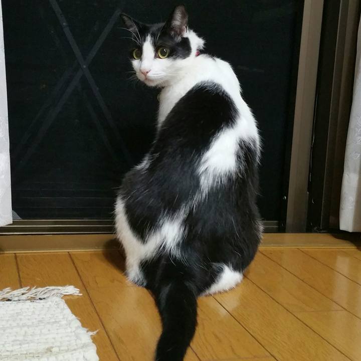 858823e1 8dba 4b56 95cc 512c8d1dc9d4 1536316559808