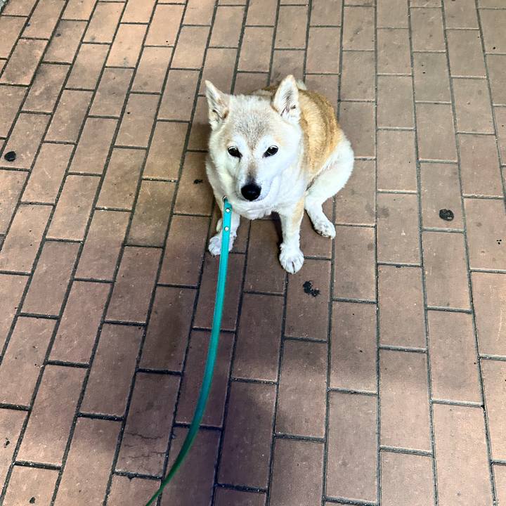 8588605c 5576 4d61 8c7a e4e0577d8fff 1749731382613