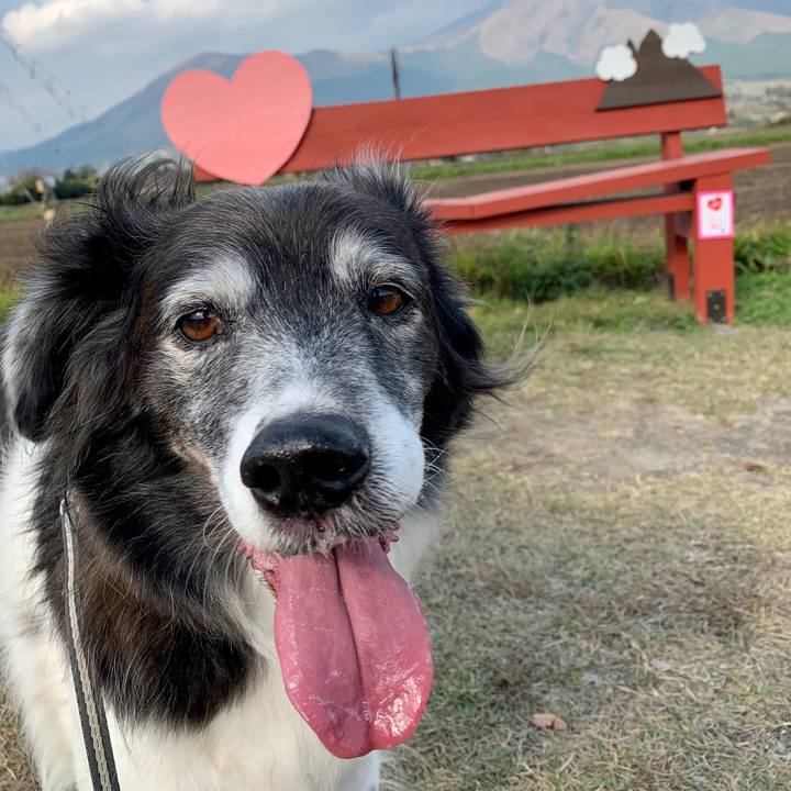 85886ea9 8080 401d b06c 701a4be5ac16 1574172205469