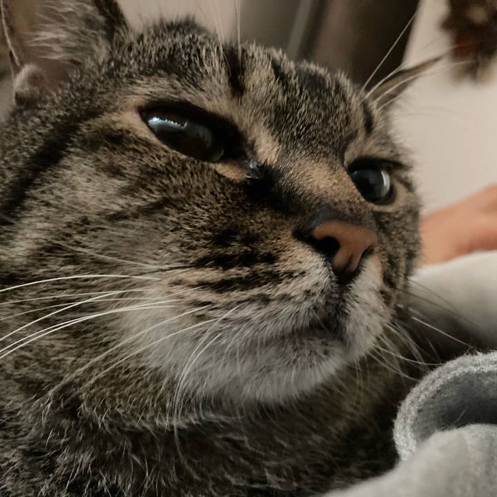 858886cf fe6b 4637 ac6d 8ea255249221 1772834961038