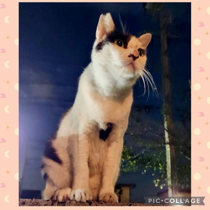 85888abd 0dee 4cde bf5e 2f7405d86736 1758509795723