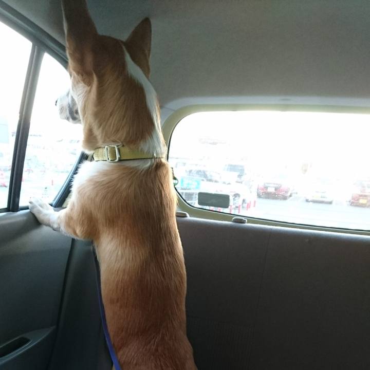 8588bf74 755b 48f0 a6dd 1f6237adc555 1575358415225