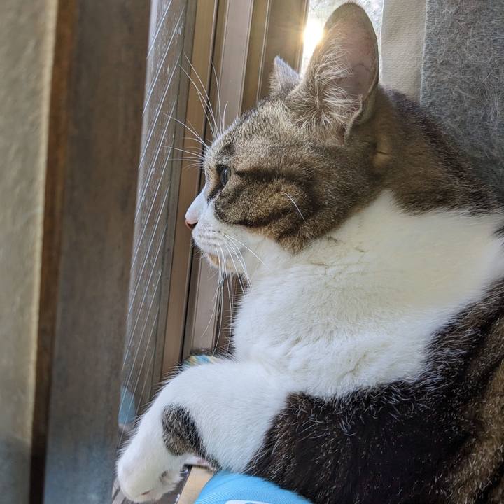 8588d2ad 7cfa 429d b22d 40df356d9354 1711872784406