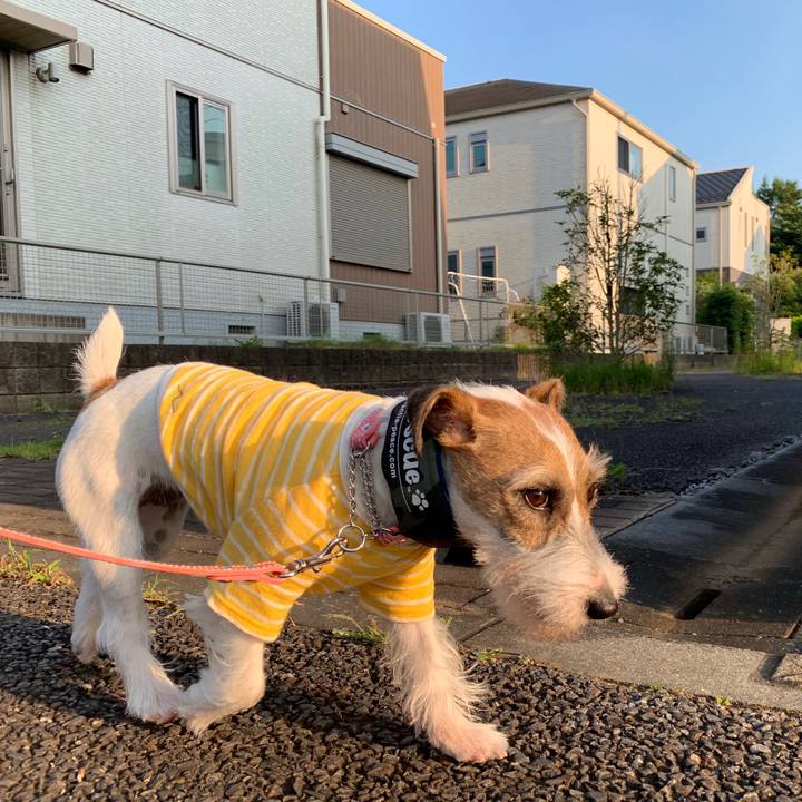 85891cb2 4164 4d3d 9dca f5a5e94d70cc 1596543364650