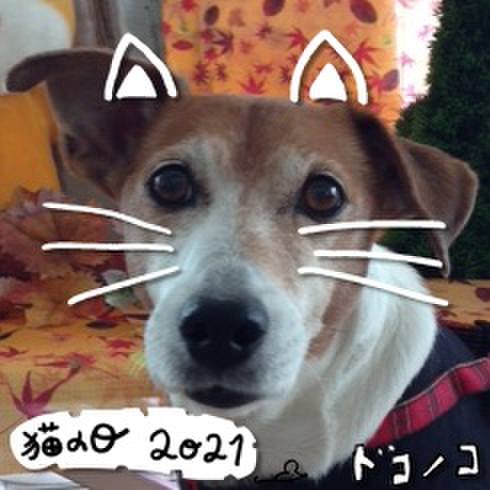 85893da0 8e3b 4e6b 87a7 a96dcf53d4ad 1613977786270