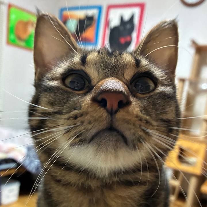 85896ec7 22d2 45e4 8c7b e6b0969d1be3 1762254802157