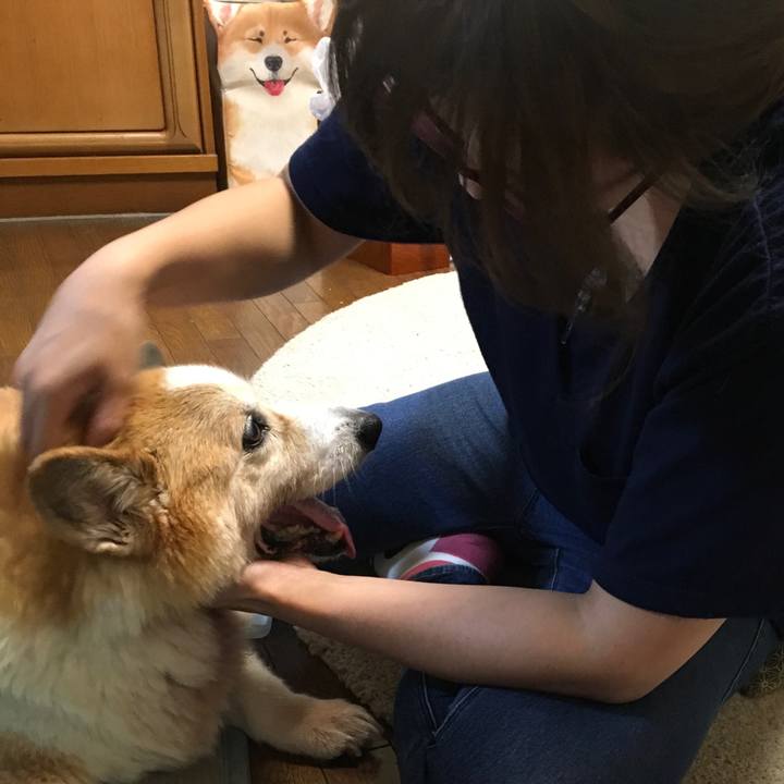 8589ad07 ef34 4e55 9fa7 6f438322f1af 1569836123000