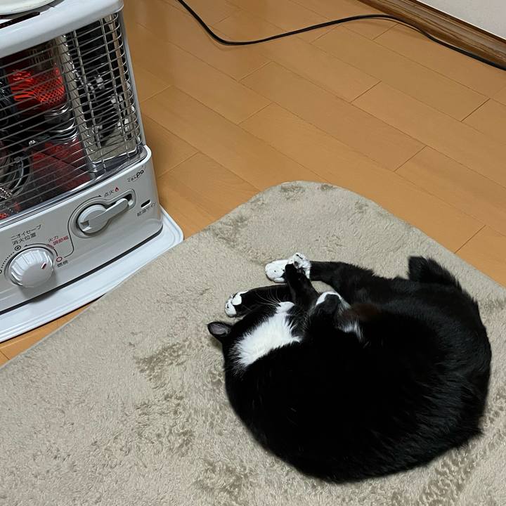 8589c714 00de 463e b09e d80c59e08521 1740115570784