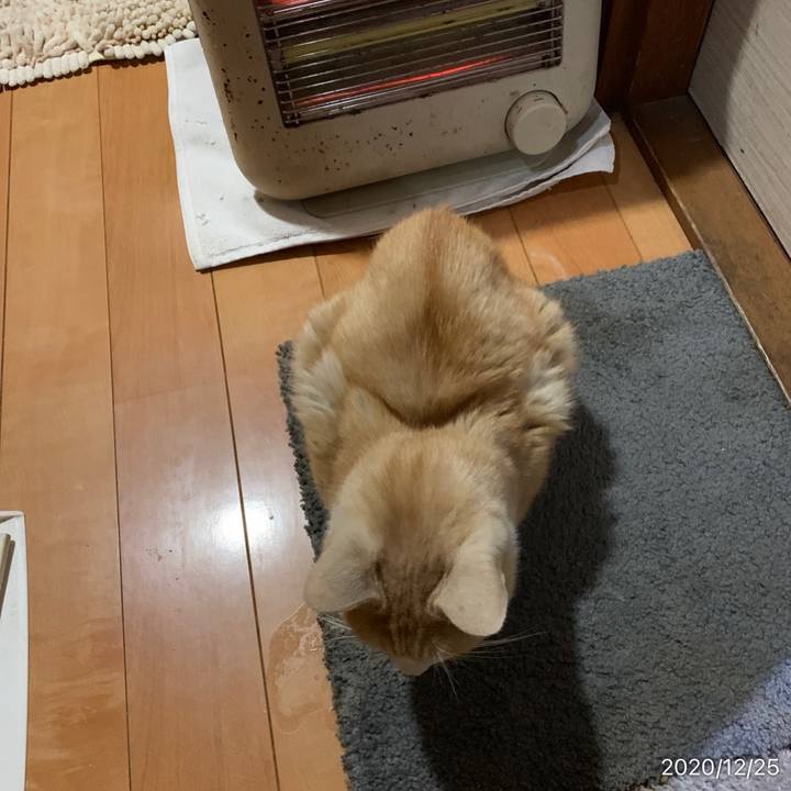 858a38b1 3de4 4d15 99be c6df6d89cc7f 1608849291795