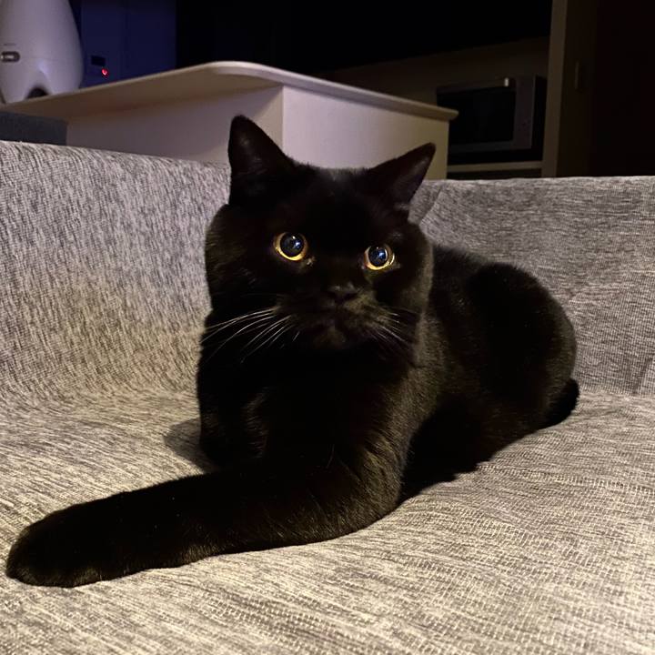 858a6346 f64c 4e36 acf3 3ea981f16d70 1736078058718