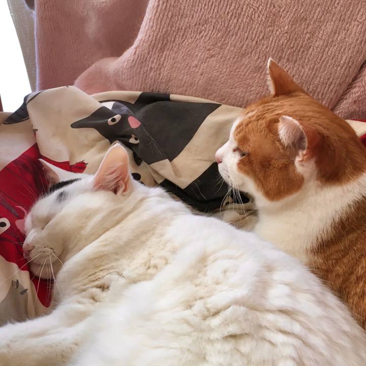 858abe85 de4b 4dc2 a952 6b35eb5ebdf8 1574321806685