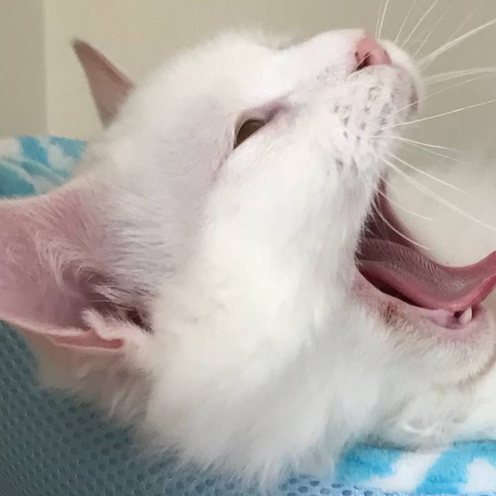 858b1839 9073 46de 9db3 fae5db707fd0 1525520075048