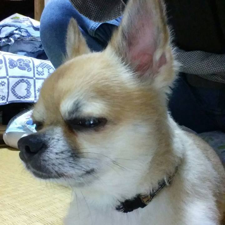 858b70cf 99c8 4dde a6bc 09a32076ff65 1538300285551