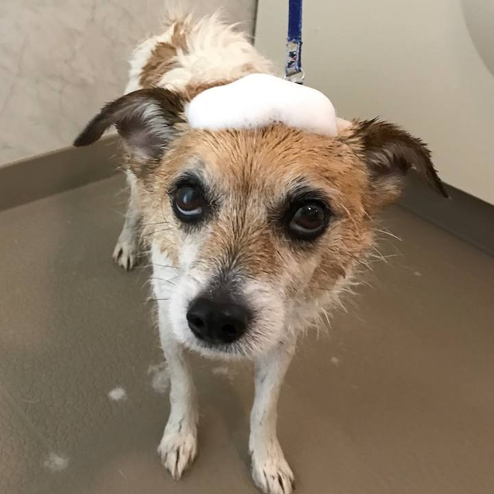 858b7bf3 cedd 4e48 bd9c ae92f0a7aca2 1610766912449