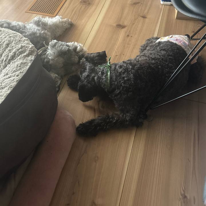 858b8ab4 8467 45a3 8a9c a1a23f8c2552 1721703824841