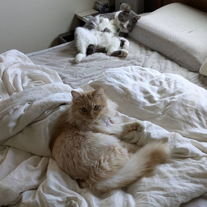 858b8d78 fceb 44e4 9d8a 55bb287f9bf3 1749174412547