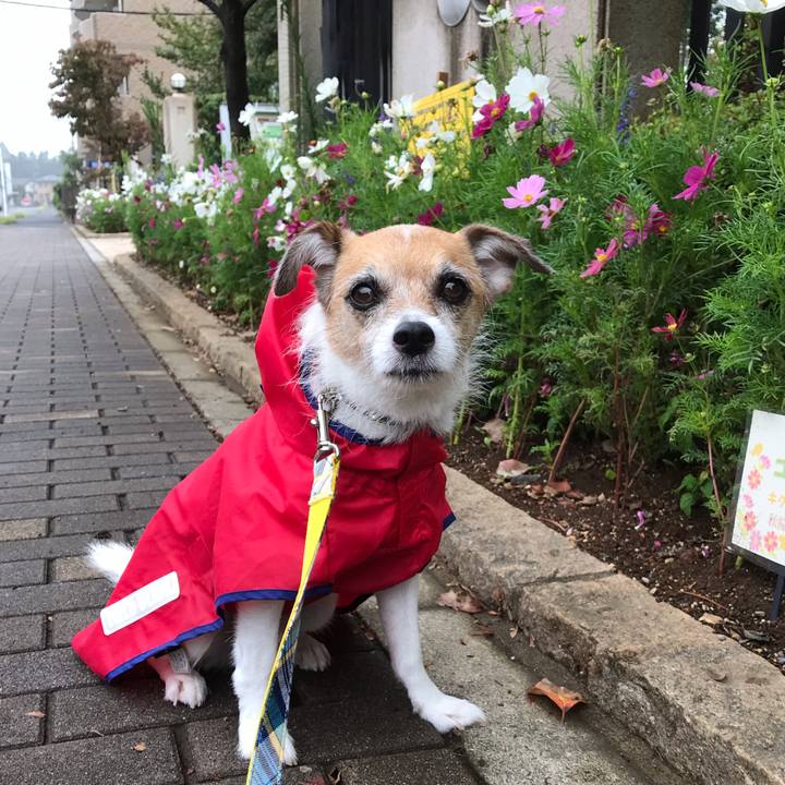 858bffae 3045 4f27 b27a 1de9caa51d7c 1569195002416