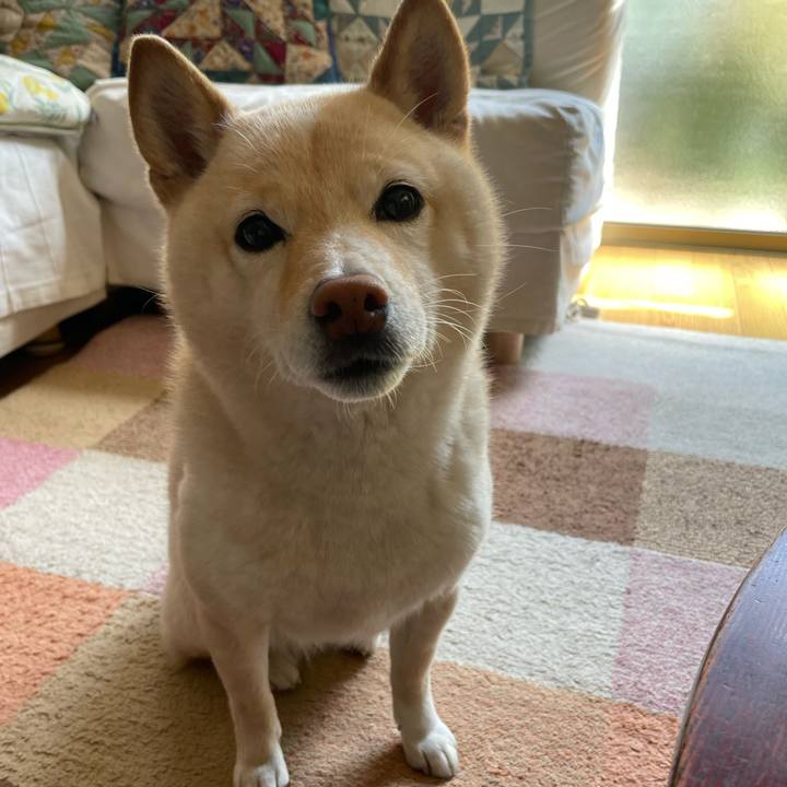 858c0a02 5597 450a a2e1 f1ad5422c713 1680491320976