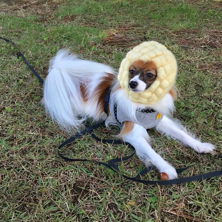 858c16cf c923 4d5e ab1b 94926d88c580 1509700886190