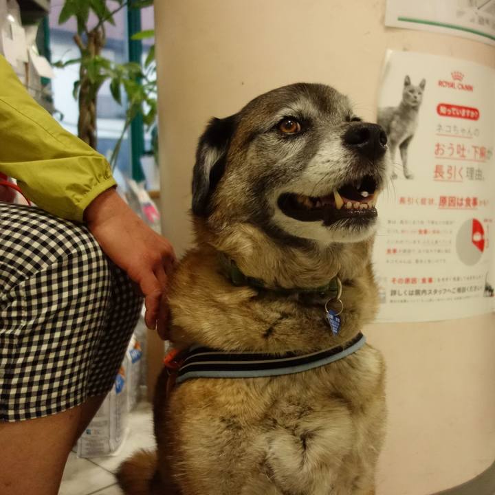 858c4f36 e1a8 4a2f 8ec9 53347763c89e 1635381713814