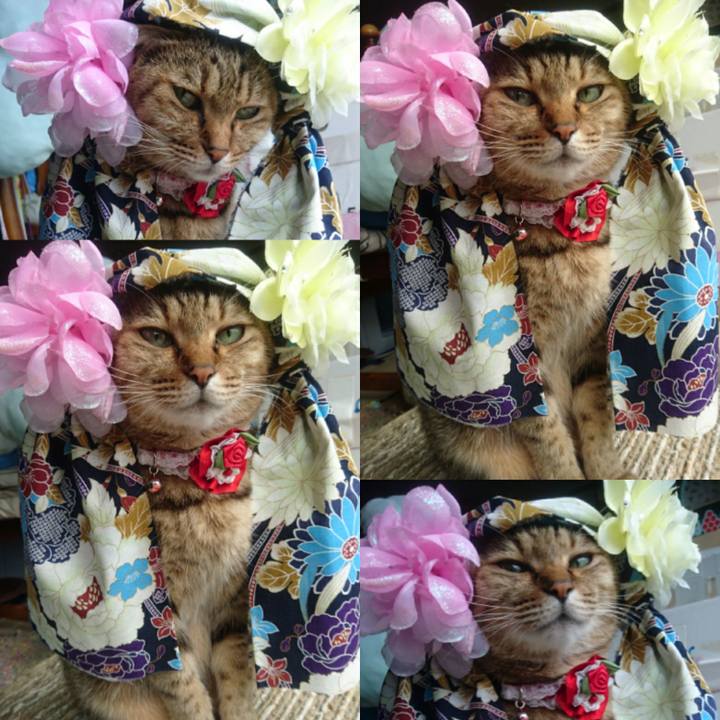 858c7ef3 5ea9 469d 85ba aa188a528b19 1768261201320