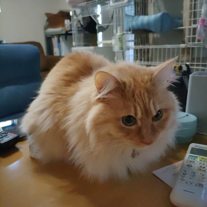 858c8d28 df99 4456 a898 794634f7ced8 1677534669115