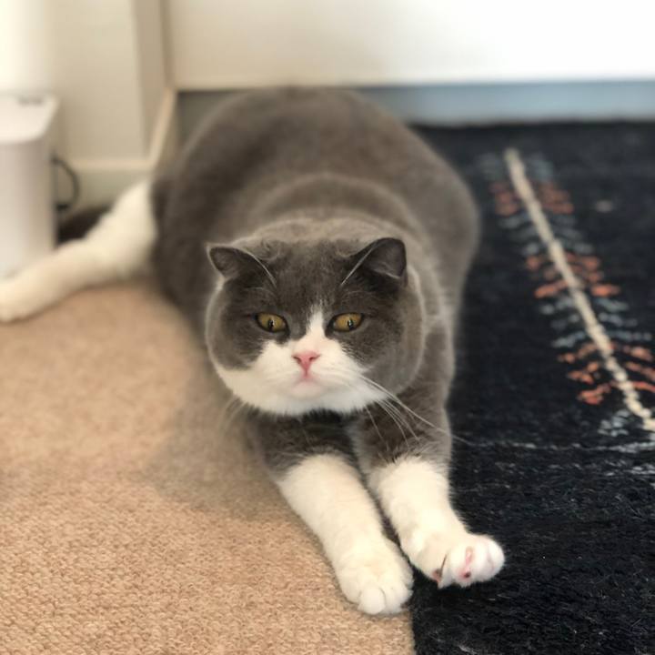 858c97e8 5c5a 402e ac6a db77497adfe6 1547966210623