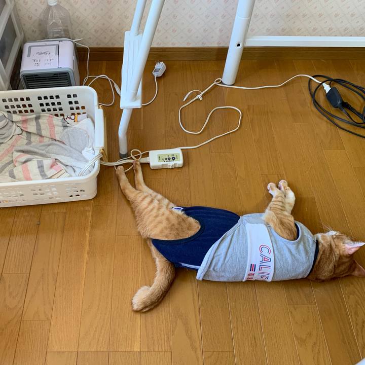 858cdf60 e231 4b89 a33f 227501bae77f 1603586109692