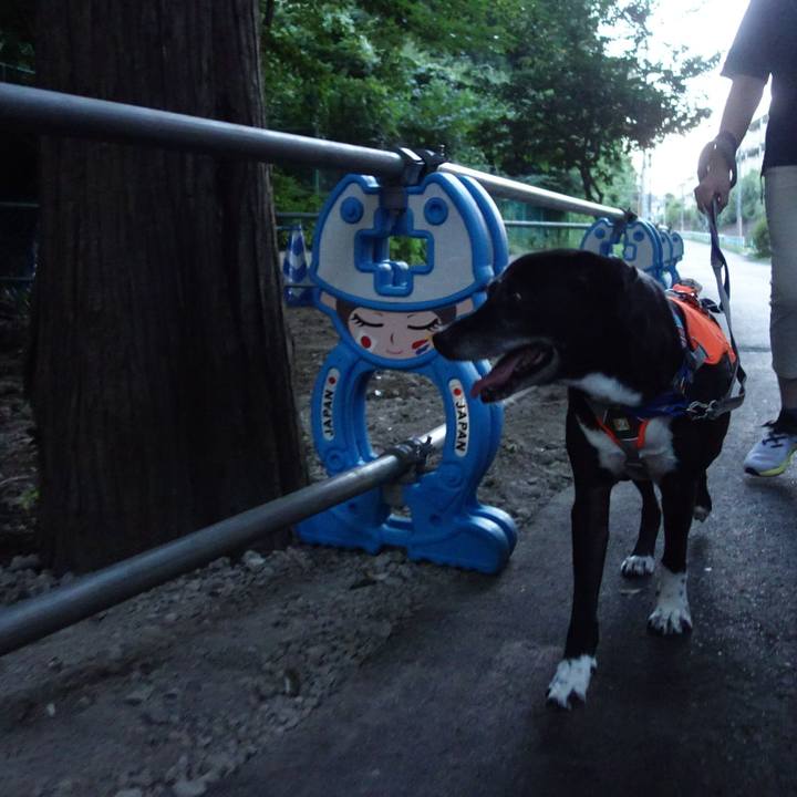 858ce3f4 009e 4d10 bddd 82005818ee53 1753787217456