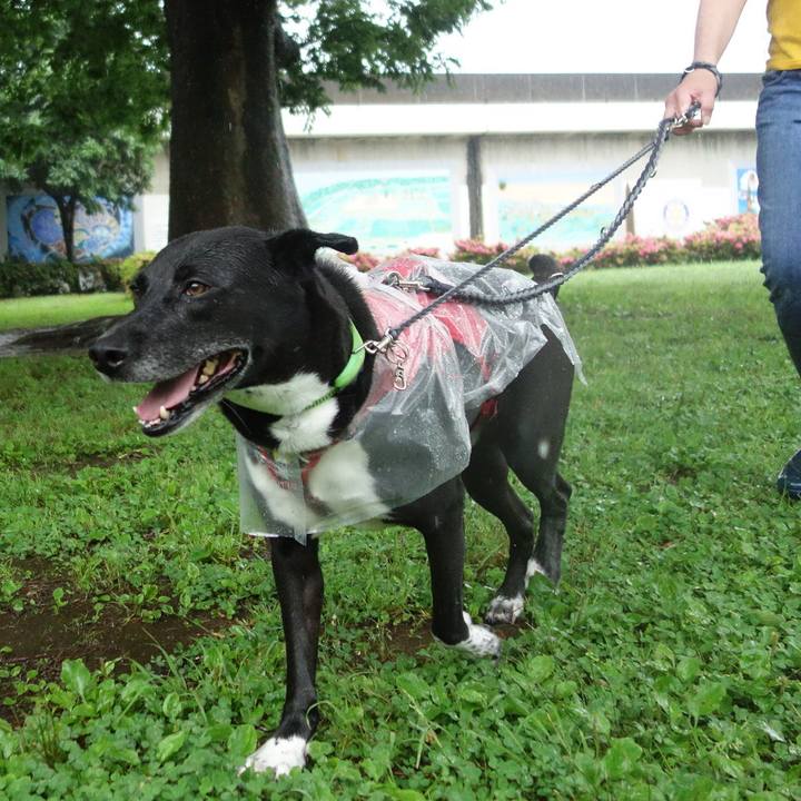 858ce659 3f6a 40e3 9e19 0232622f7436 1653609657112