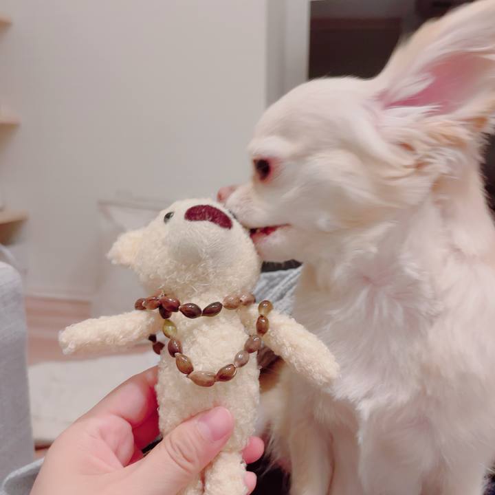 858d128d f347 4c39 a0ce 53bc06b52e7e 1694688686231