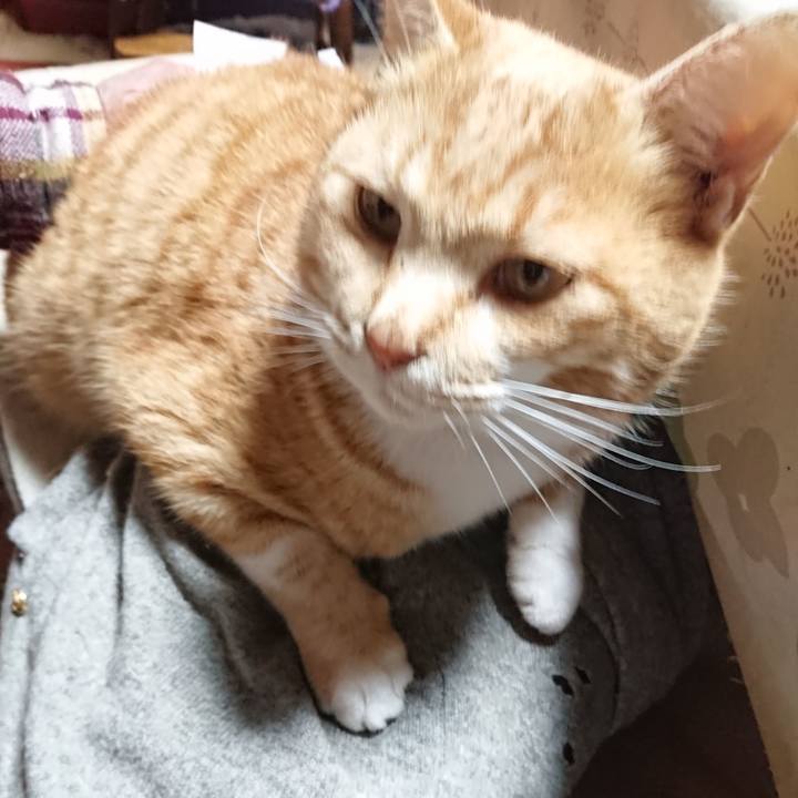 858d1d83 fd64 40cf bba7 c202137ac4f1 1577691867385