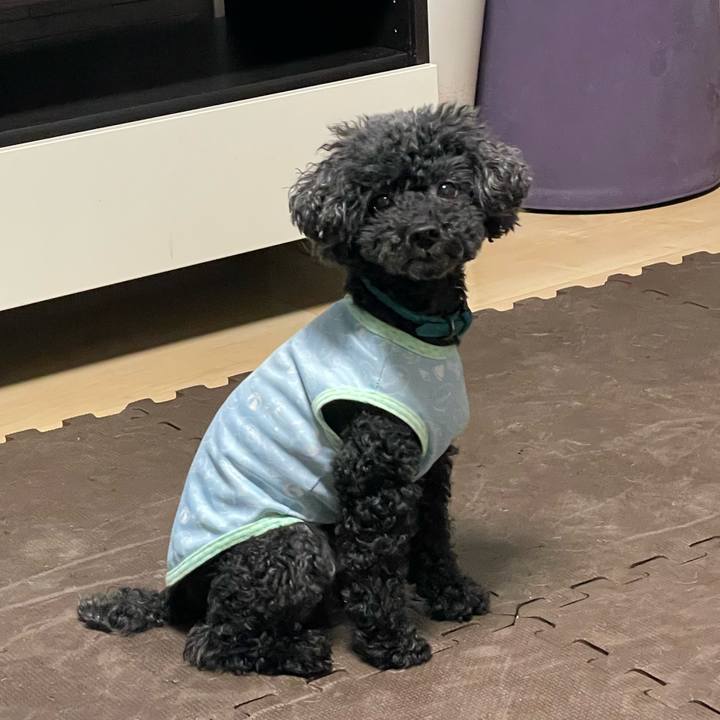 858d3fb0 52b1 42e9 806d 170fe999abf7 1662330605003