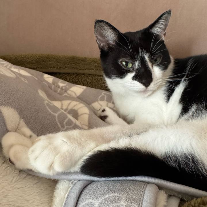 858d5547 2243 4bc8 b9e5 08f6a369d39d 1759199235971