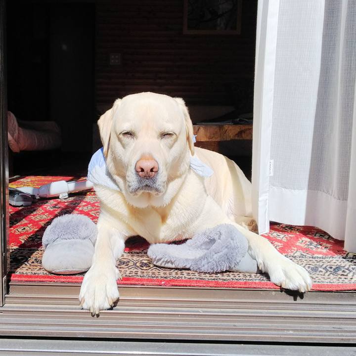 858da214 f7cc 411d b940 4dfcbaee9fae 1583200546837