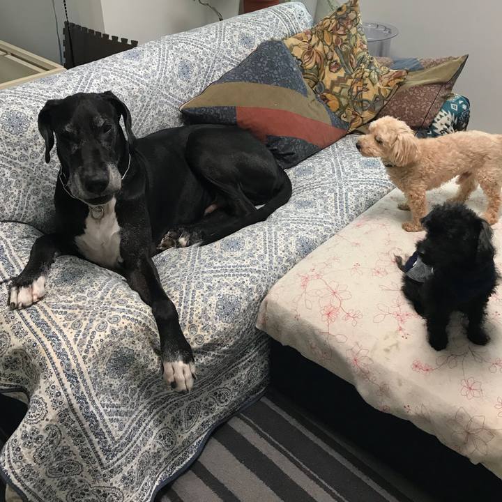 858df720 d980 46fb be34 28d0439bd2c9 1526595476501