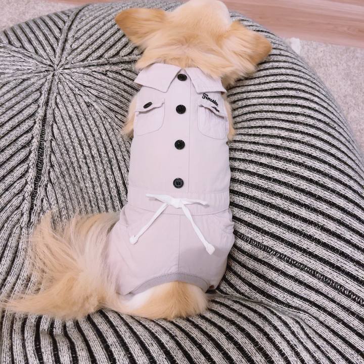 858e093b 693c 41a4 b9a8 218ebb980076 1688987888451