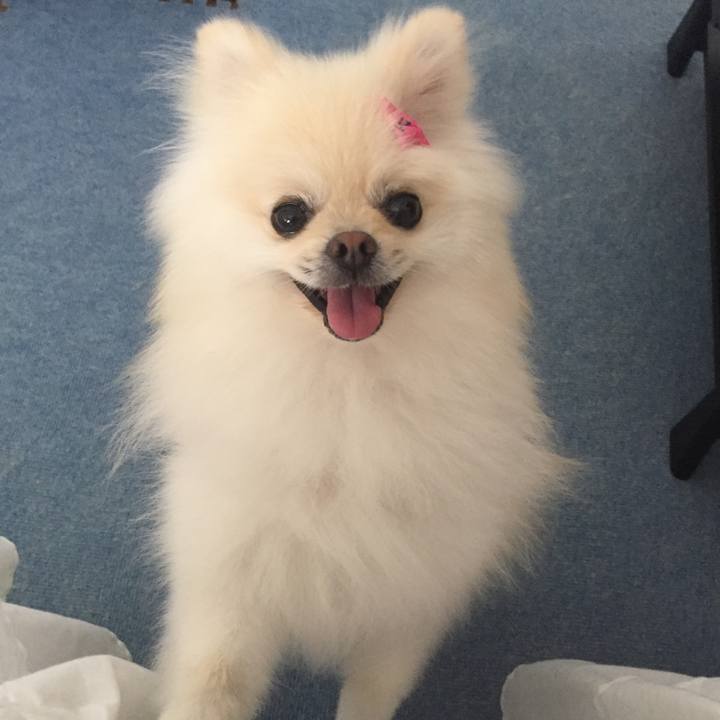 858edaa2 48eb 4fd3 ad65 a21126f182db 1535861930673