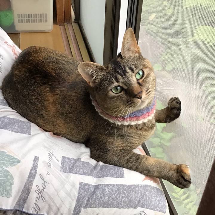 858ee99c f464 406f bad6 fa3528a58705 1623995847390