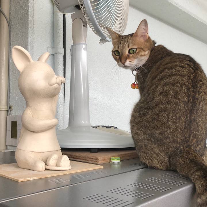 858efa1b 0dc9 453c 87bd 4d403e8538e2 1664110600283