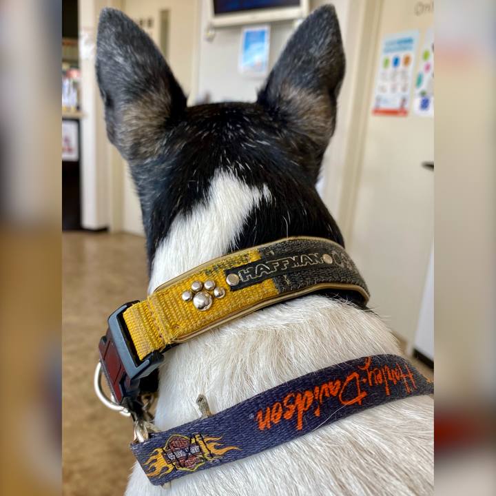 858f506f 71c7 4da0 8a5d e20818cf558d 1615604161305