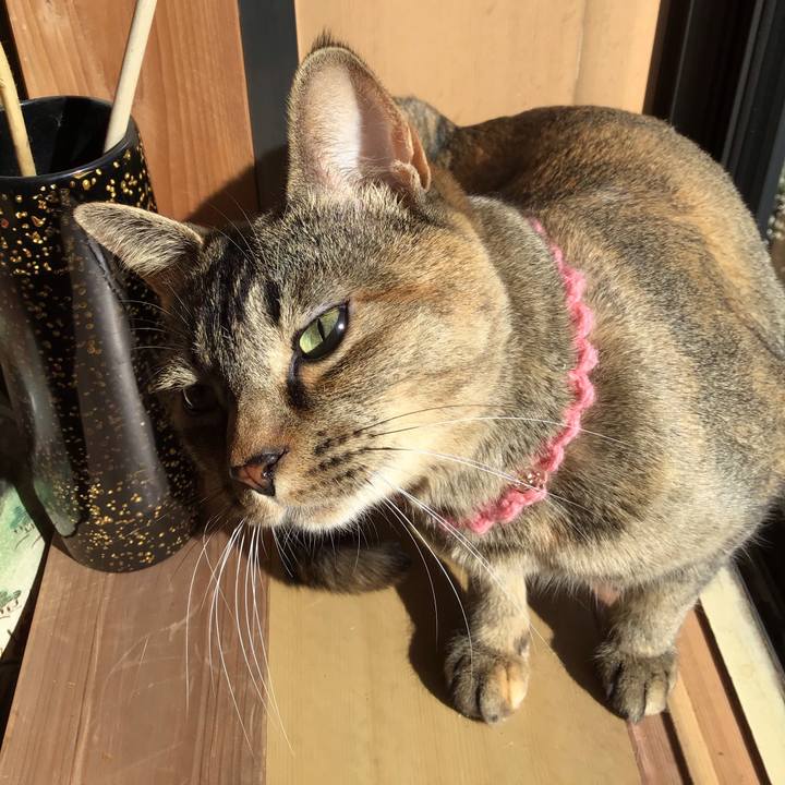 858f67e7 9ec0 406b 815d acbc0e8b5aa9 1614734416212