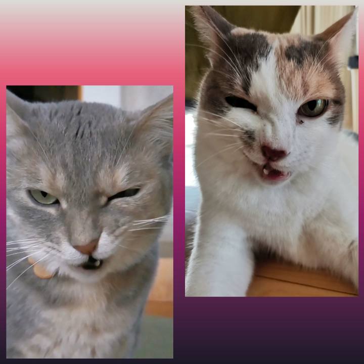 858f7bee 7e53 42bc 91c1 4822494cee19 1655735144814