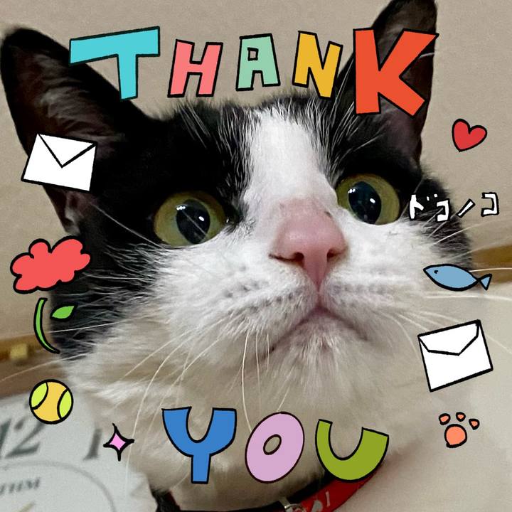 858f9644 f05d 4d1a 85bf 90819dabbdb1 1715385763230